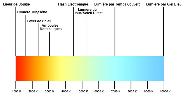 bulb-fr_10.jpg